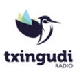 Icon of program: Txingudi Sport FM TV