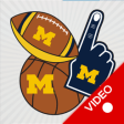 Icon of program: Michigan Wolverines Anima…