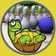 Icon of program: turtles bowling for kids …