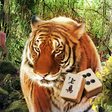 Icon of program: Mahjong: Into the Wildern…