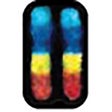 Icono de programa: Arabidopsis Motif Scanner
