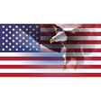 Icono de programa: Star Spangled Alarm Clock