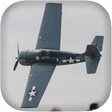 Icon of program: Airplane Fighters Combat