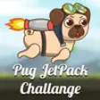Icon of program: Pug JetPack Challange