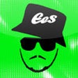 Icon of program: EES