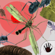 Icono de programa: Anti Insect for Windows 1…