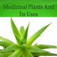 Icon of program: Medicinal Plants and Its …