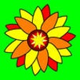 Icon of program: Medicinal Herbs: The Herb…