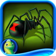 Icon of program: Web of Deceit CE (Full)