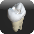 CavSim - Dental Cavity Preps icon