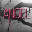 Icon of program: Angel by James Patterson