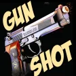 Icon of program: Gun Shot Sounds!!!