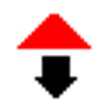 Icon of program: Remora USB File Guard