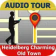 Icon of program: Charming Heidelberg Tour