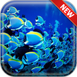 Icono de programa: Underwater Wallpapers