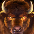Icon of program: Buffalo Rising