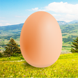Icono de programa: Egg