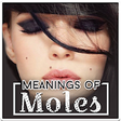 Icon of program: Meaning of Moles