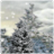 Icon of program: Snowfall Charity LiveWall…