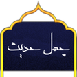 Icon of program: forty hadith shia