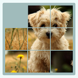 Icon of program: Jigsaw Puzzle