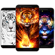 Icono de programa: Tiger Wallpaper HD