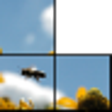 Icon of program: Picture Puzzler