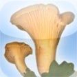 Icon of program: Svampguiden