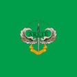 Icon of program: UNCC Army ROTC