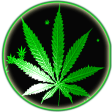 Icon of program: Weed Rasta Smoke Wallpape…