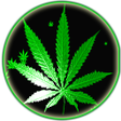 Icon of program: Weed Rasta Smoke Wallpape…