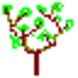 Icon of program: Genealogica Grafica