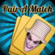 Icon of program: Pair A Match