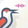 Icon of program: Echo AI Interview Prep