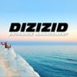 Icon of program: Dizizid Entrance Manageme…
