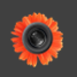 Icon of program: InstaFeed for Windows 8