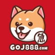 Icon of program: GoGoJumpVPN