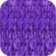 Icon of program: Purple Wallpapers