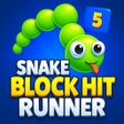 Icon of program: Snake Block Hit Runner