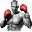 Icon of program: Real Boxing