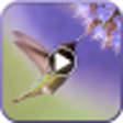 Icon of program: Photo Movie Maker