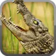 Icon of program: Alligator Hunt Simulator …