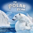 Icon of program: The Polar Bear