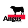 Icon of program: Angus