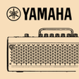 Icon of program: THR 10 Compressor - For Y…