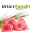 Icon of program: Brian Keogh Flowers