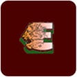 Icon of program: Sher-E-Punjab