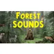 Icon of program: Forest Sounds