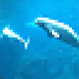 Live Aquariums Screen Saver icon