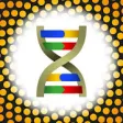 Icon of program: DNA